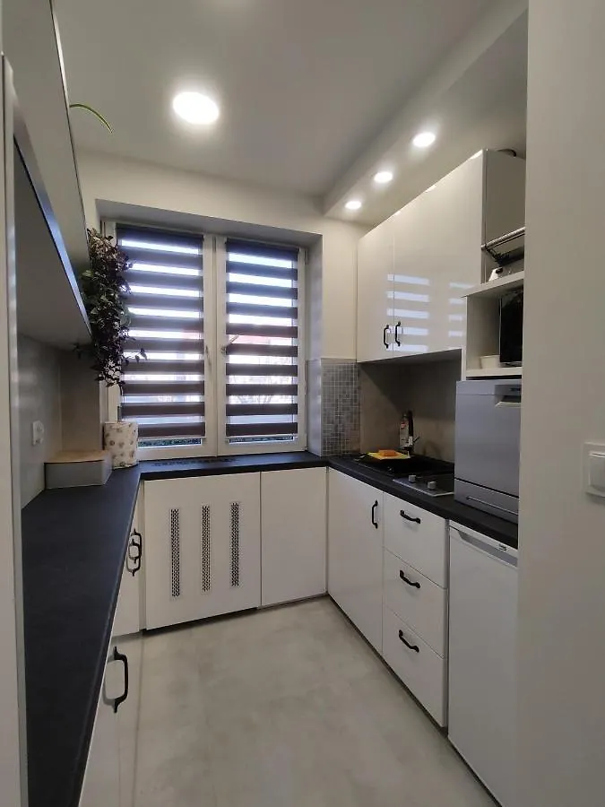 公寓 Apartament Wroclaw Borowska 波兰